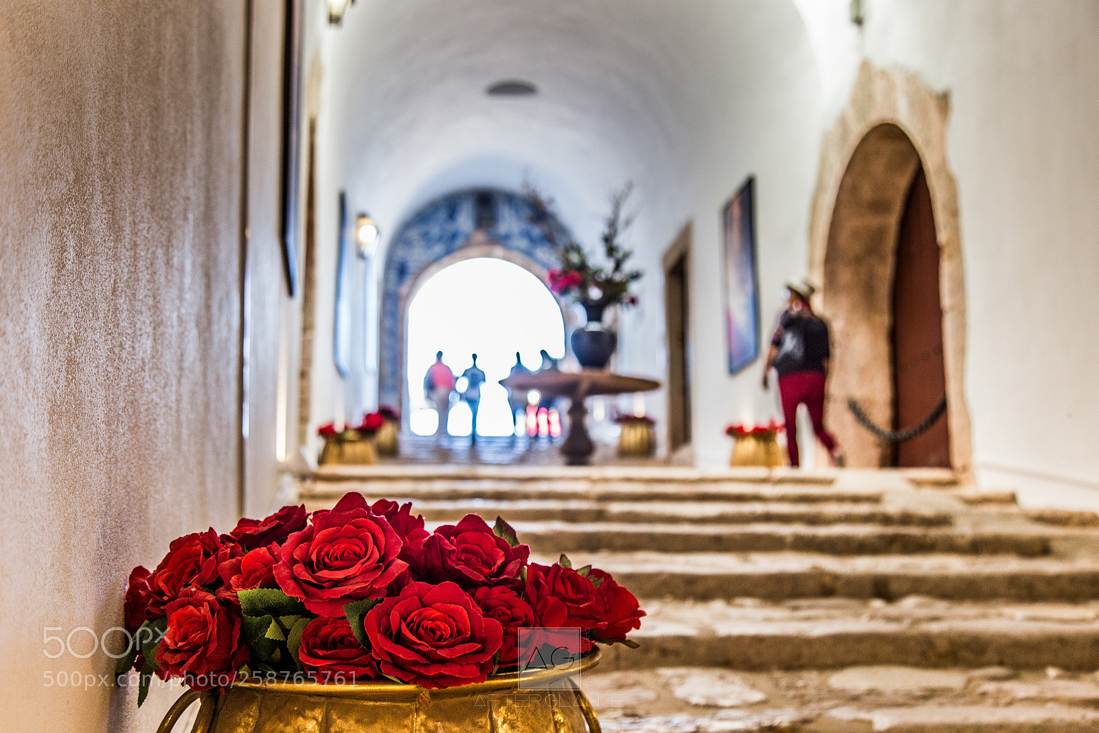 Canon EOS 6D sample photo. "it's roses sir..." photography