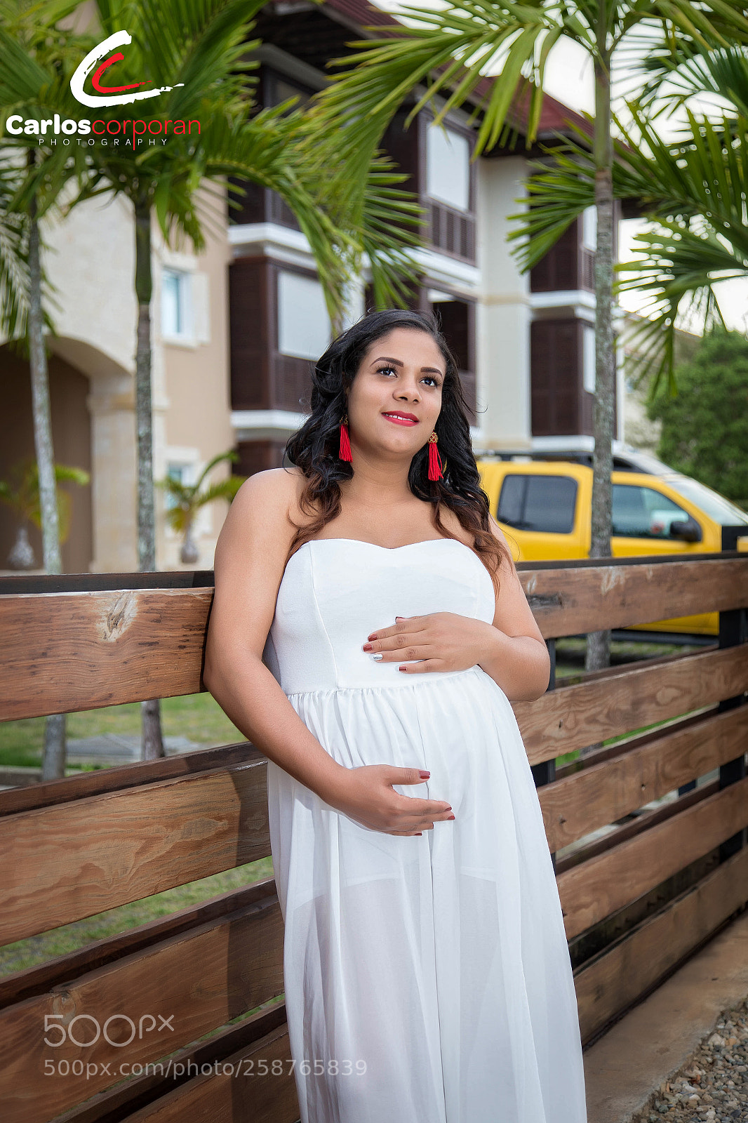 Canon EOS 6D sample photo. Copy photography