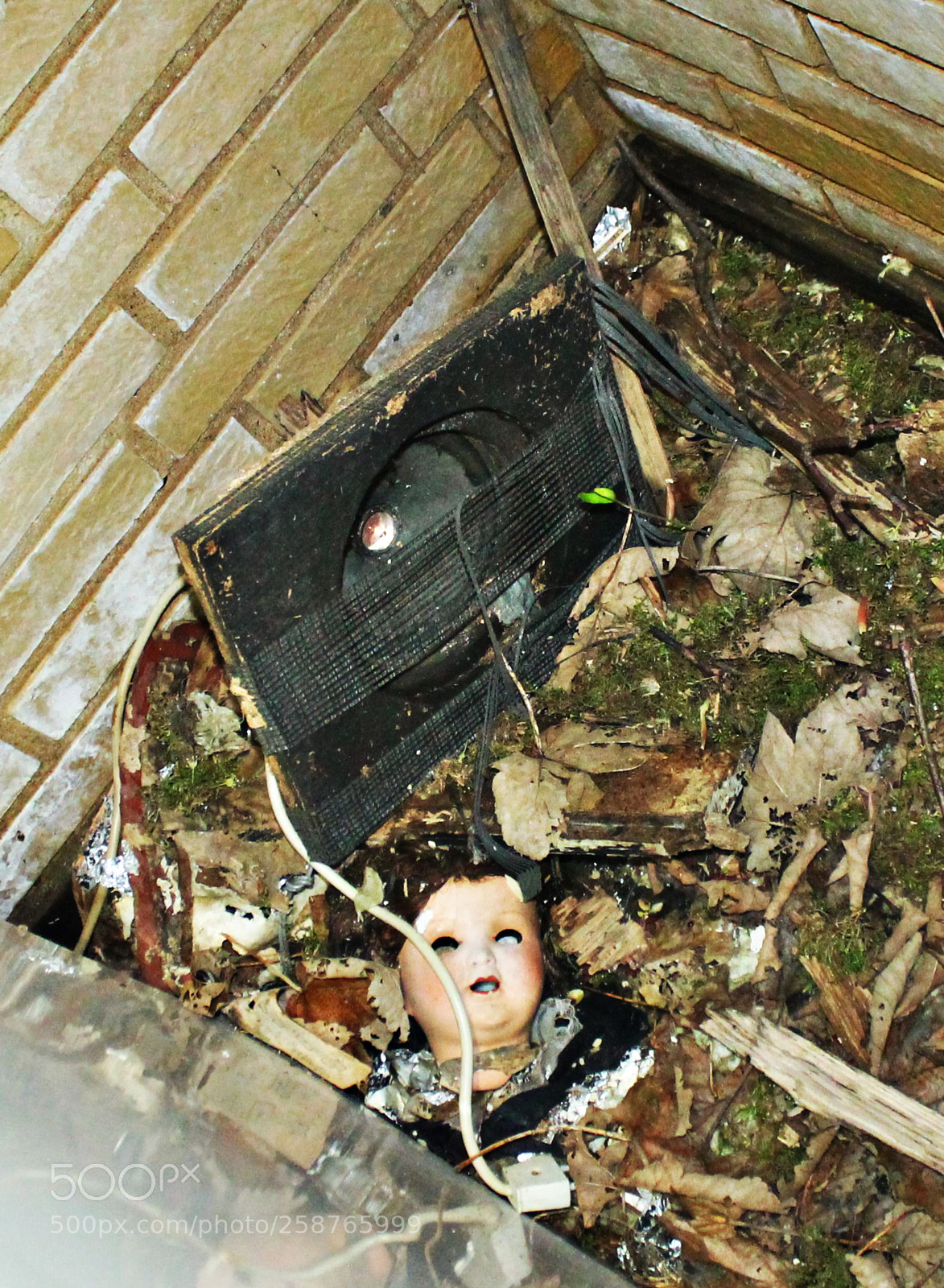 Canon EOS 1100D (EOS Rebel T3 / EOS Kiss X50) sample photo. Ghost house in the photography