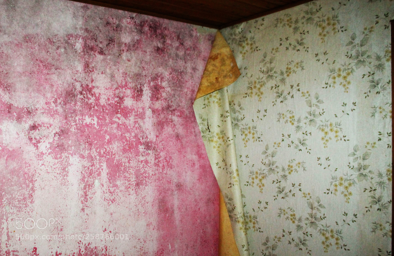 Canon EOS 1100D (EOS Rebel T3 / EOS Kiss X50) sample photo. Ghost house in the photography