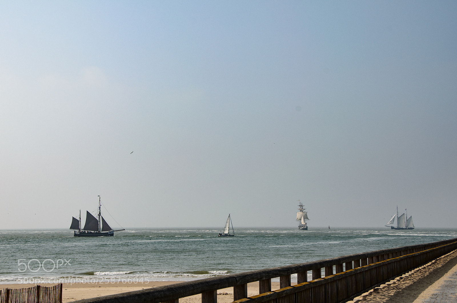 Nikon D5100 sample photo. En attente pour entrer photography