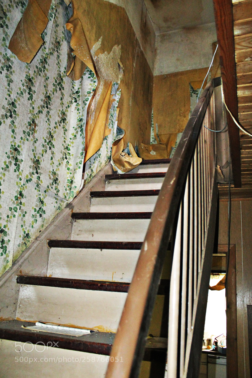 Canon EOS 1100D (EOS Rebel T3 / EOS Kiss X50) sample photo. Ghost house in the photography