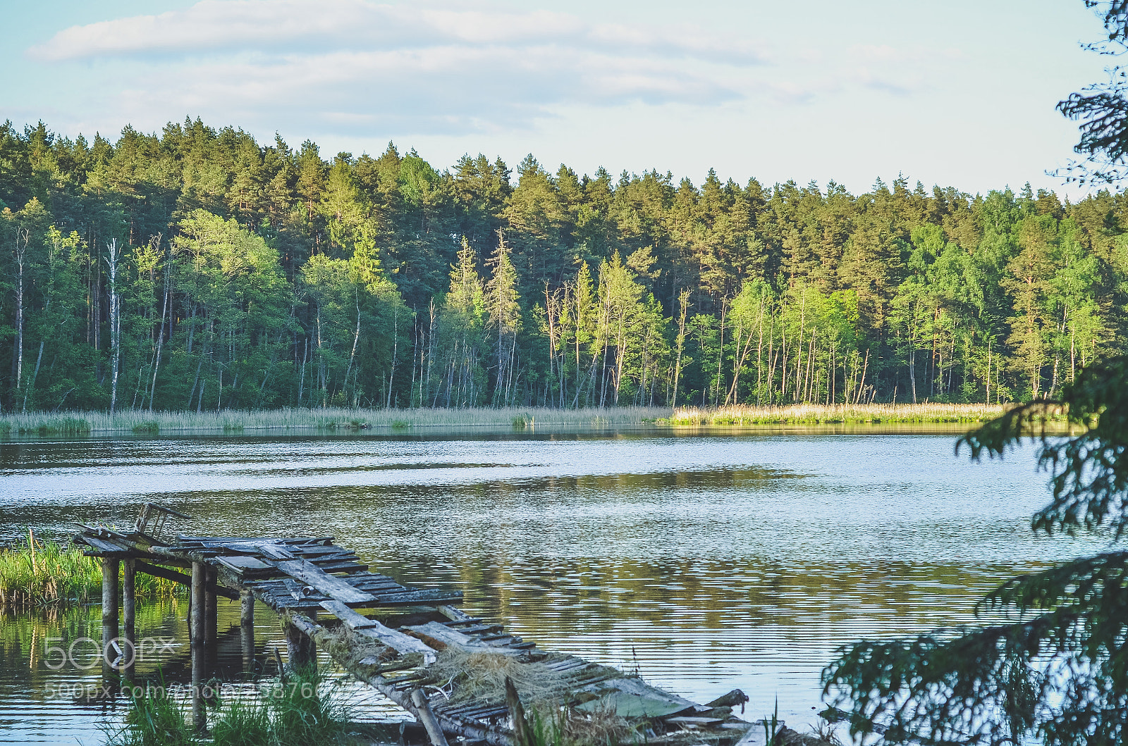 Nikon D7000 sample photo. Lake in szelągowo photography