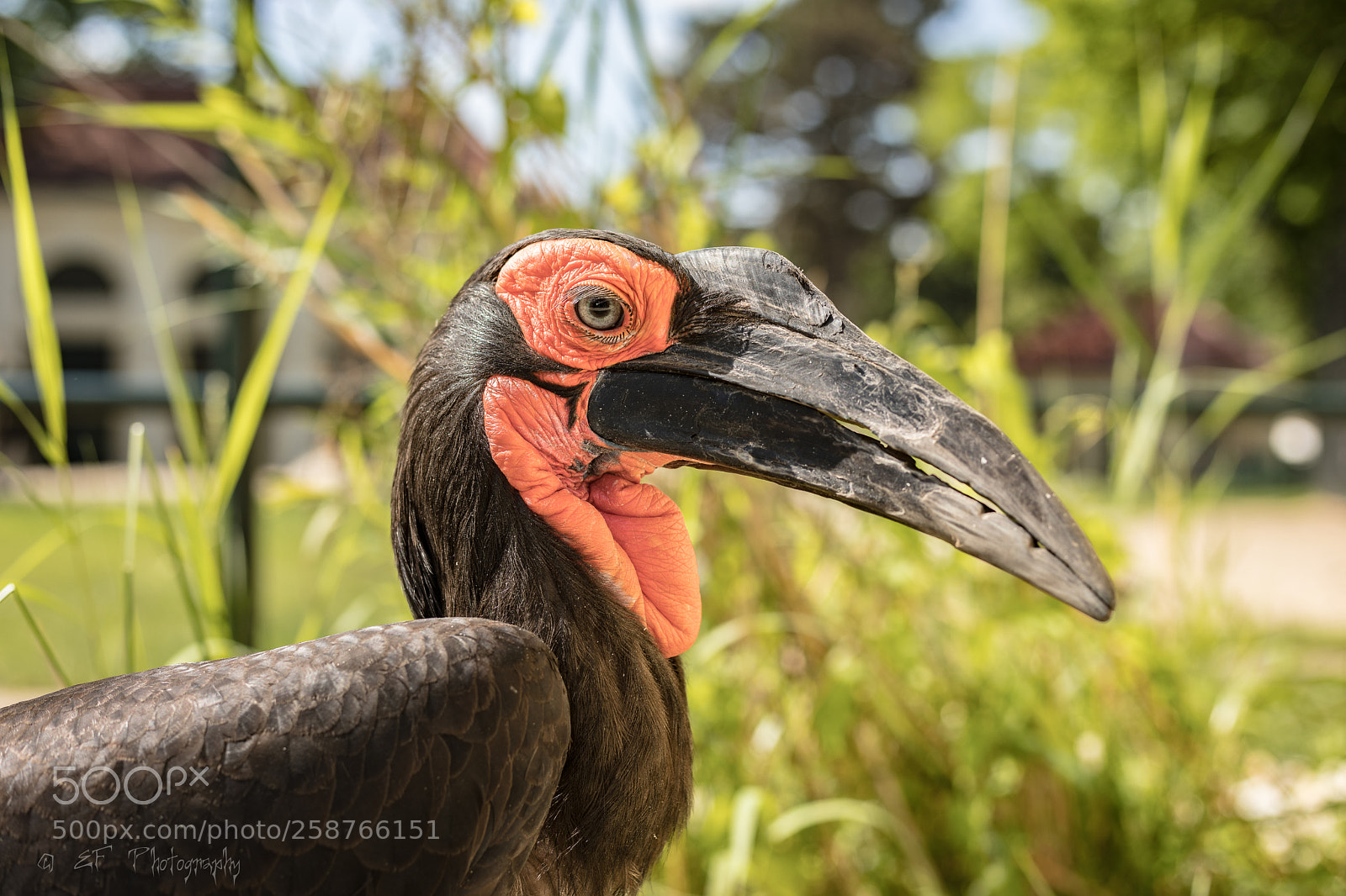 Canon EOS 5D Mark IV sample photo. Tiergarten photography