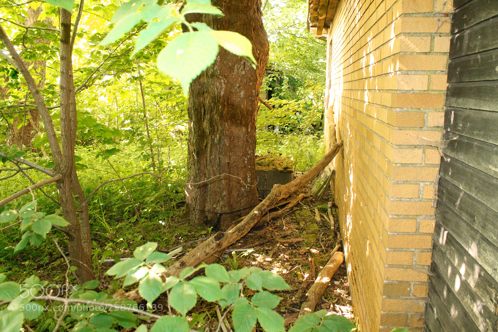 Canon EOS 1100D (EOS Rebel T3 / EOS Kiss X50) sample photo. Ghost house in the photography