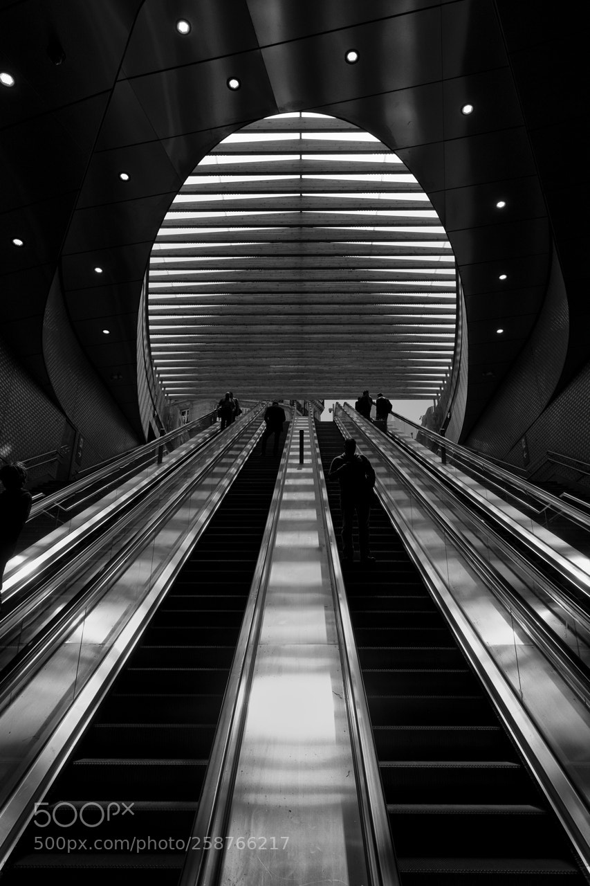 Nikon D800 sample photo. Paris - chatelet photography