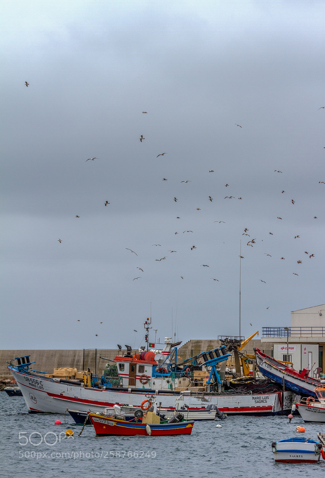 Canon EOS 7D sample photo. Porto da baleeira photography