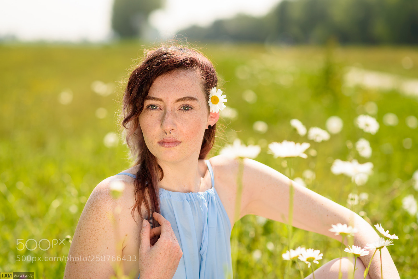 Nikon D750 sample photo. Flowers shoot photography