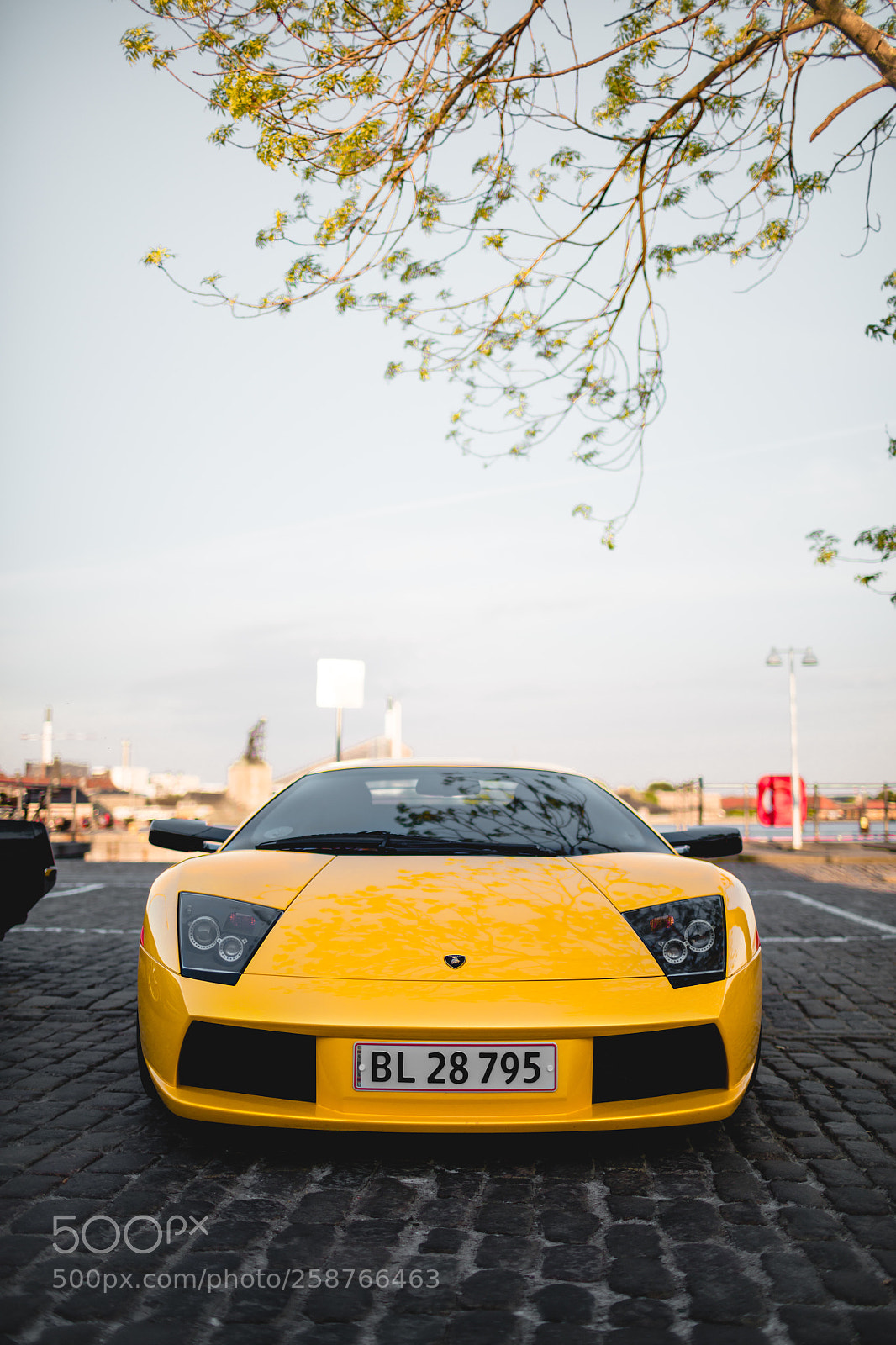 Canon EOS 5DS sample photo. Lambo... photography