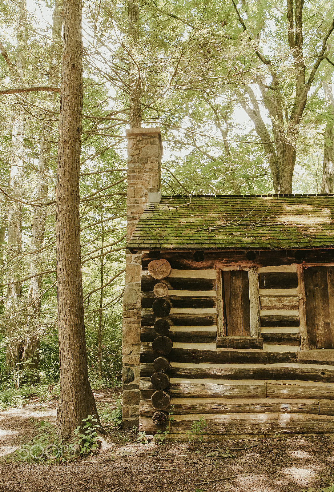Canon EOS 7D sample photo. Cabin photography