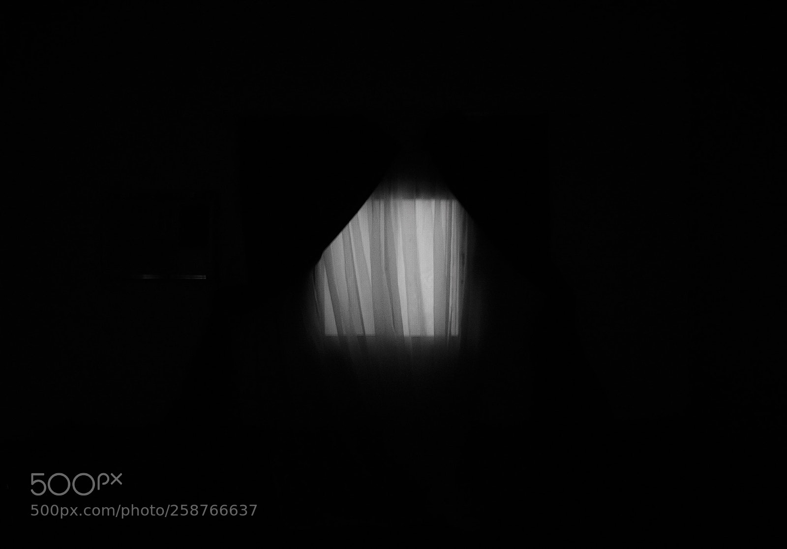 Nikon D610 sample photo. Window photography