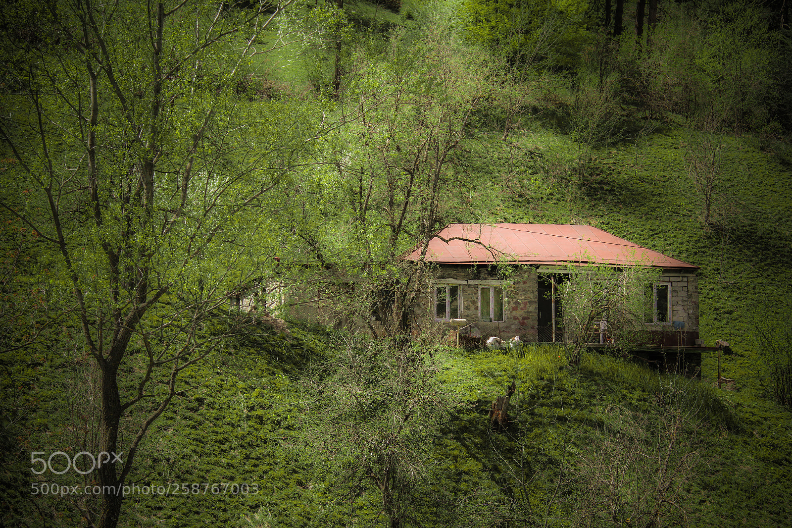 Canon EOS 7D sample photo. Old house photography