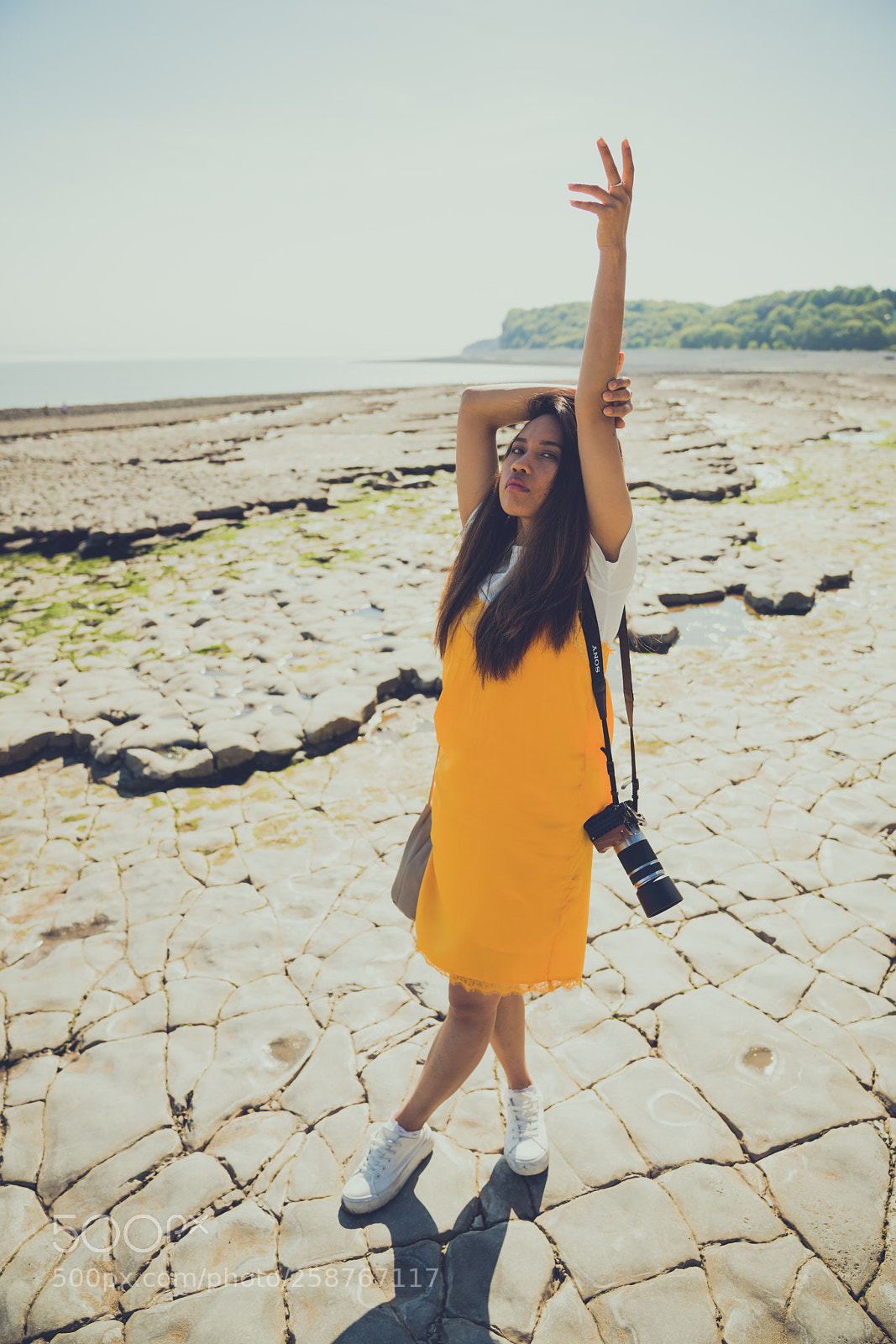Sony a7R II sample photo. Pebble beach photography