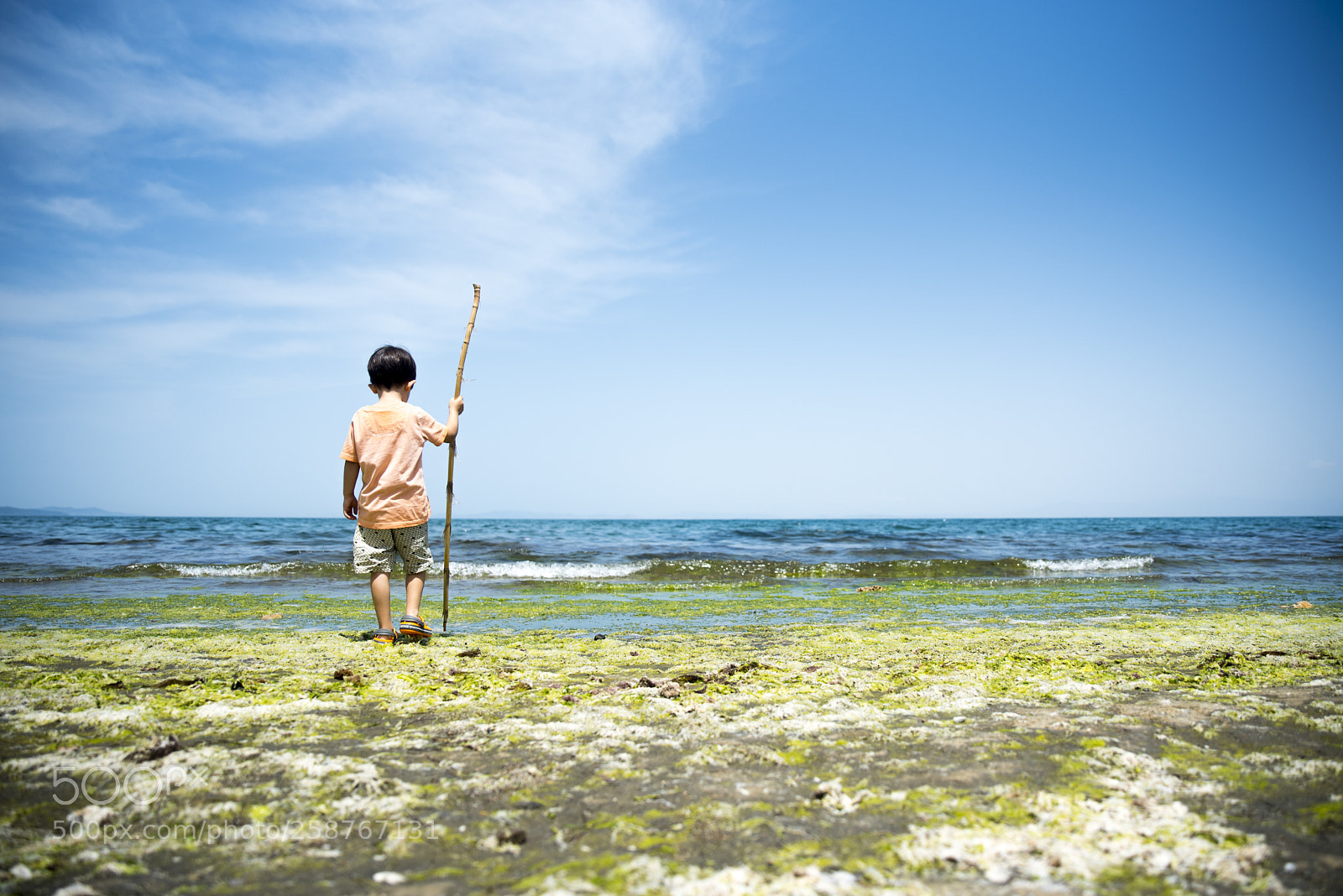 Nikon D750 sample photo. Beach photography