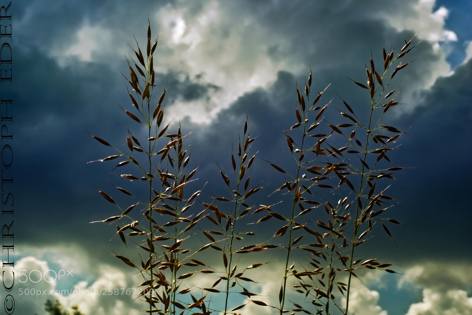 Sony a6000 sample photo. Spring photography