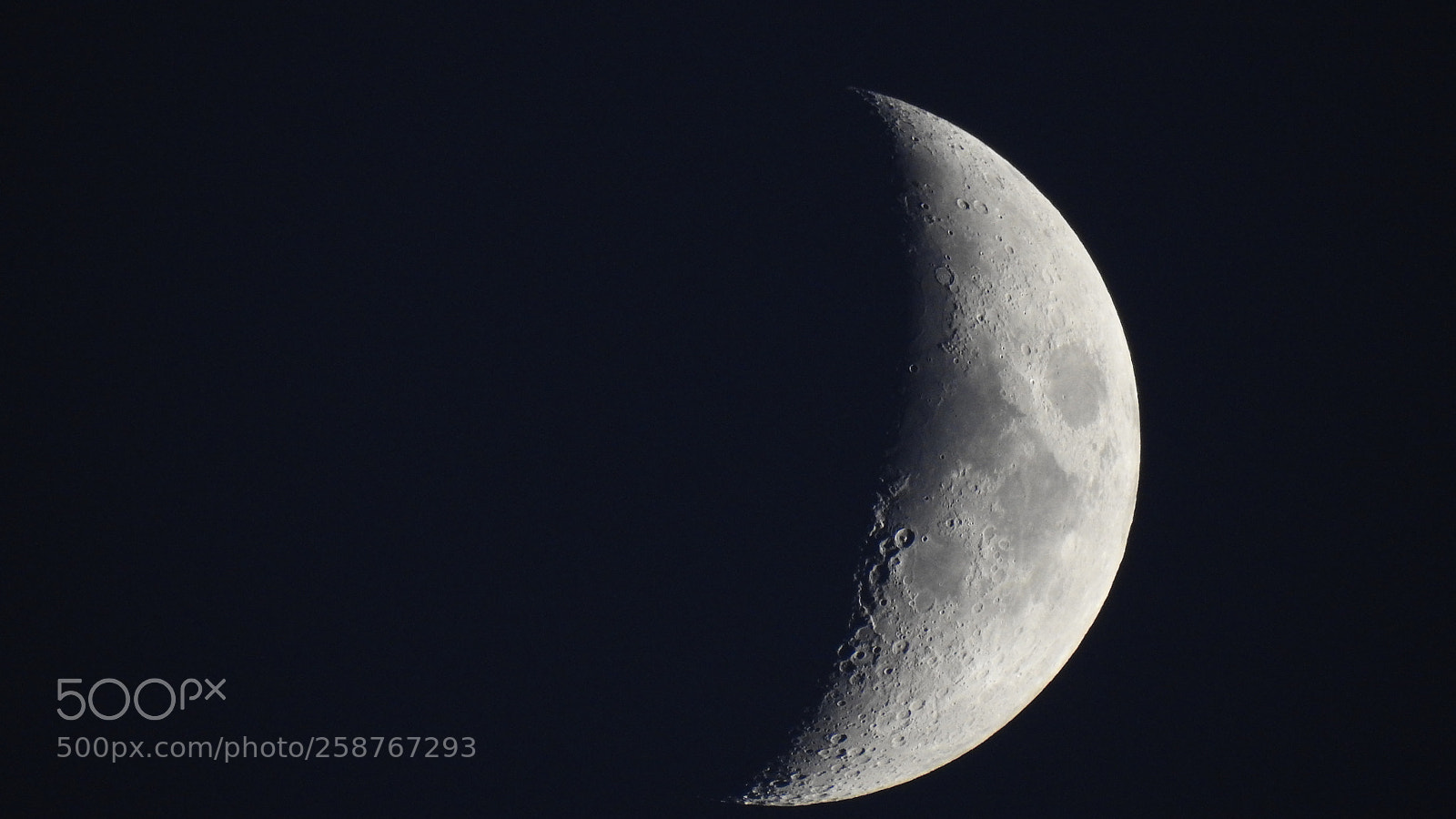 Nikon Coolpix P900 sample photo. Moon in the gutter photography