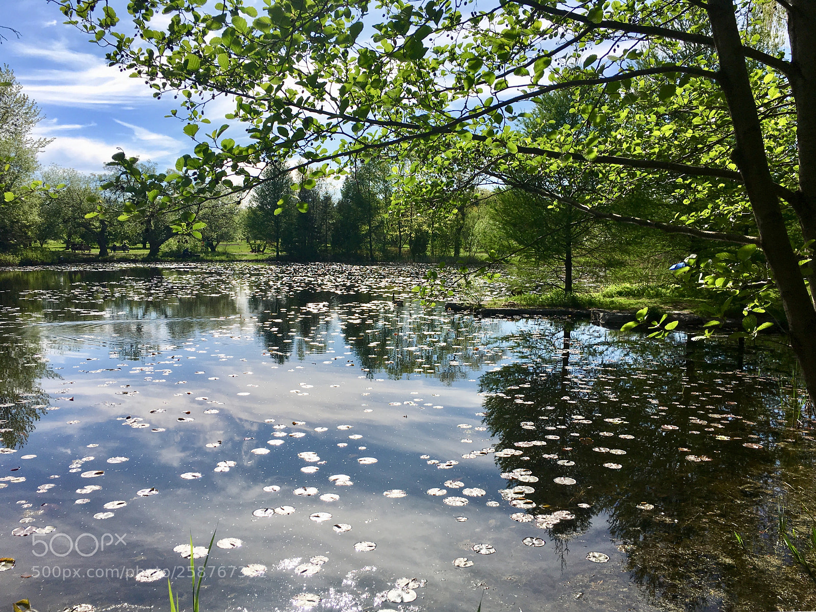Apple iPhone SE sample photo. Flowing in the day photography