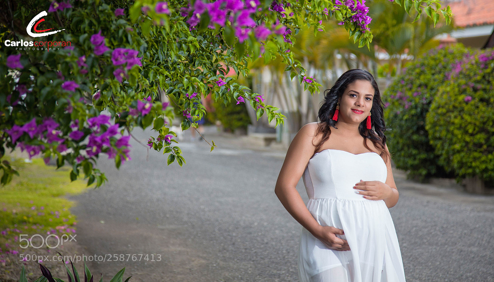 Canon EOS 6D sample photo. Copy photography