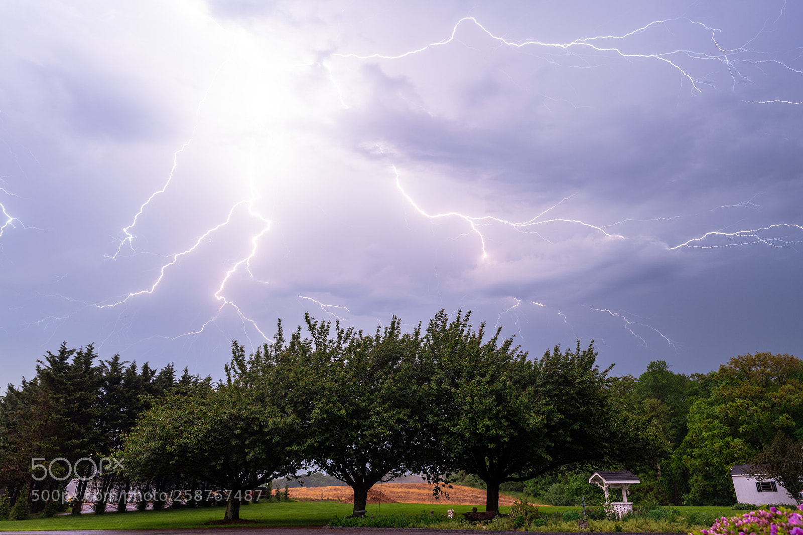 Nikon D850 sample photo. Lightning over trees photography