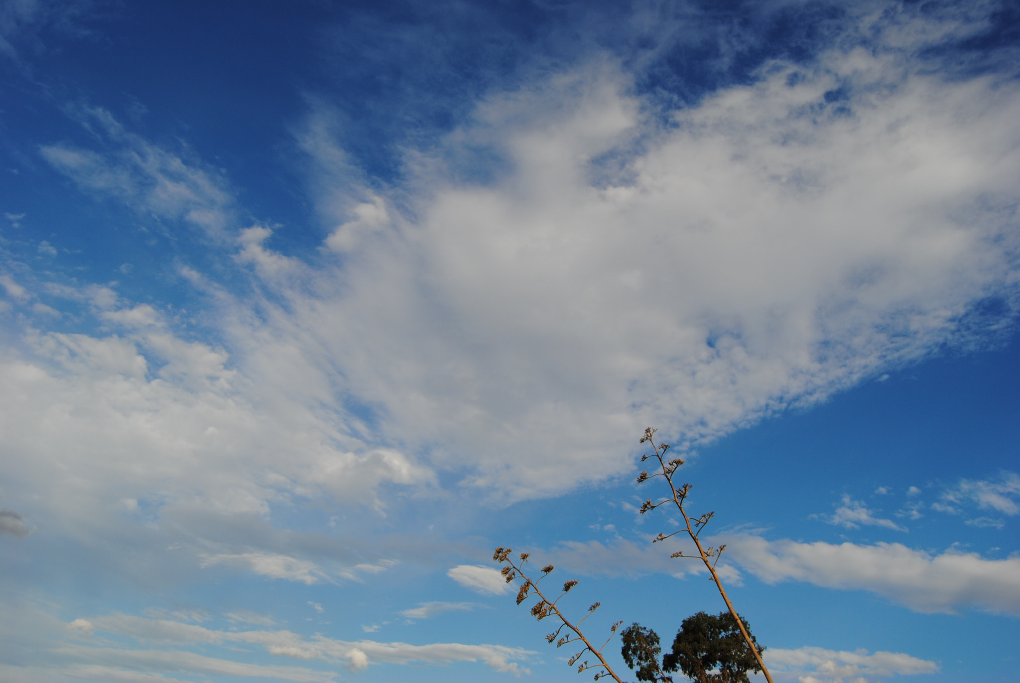 Nikon D3000 sample photo. Sky photography