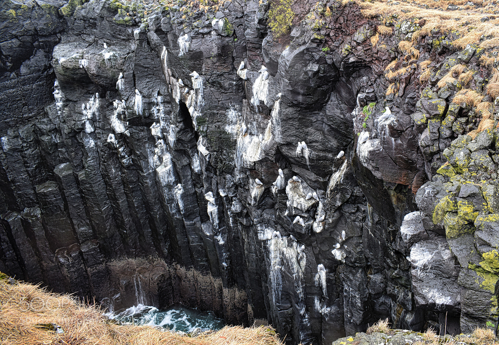 Nikon D3300 sample photo. Basalt column well photography