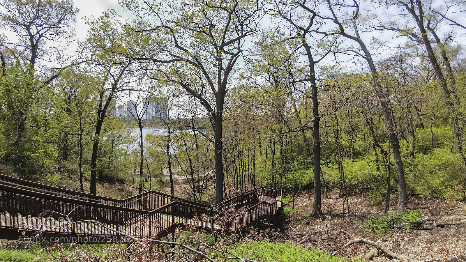 LG G5 sample photo. High park photography