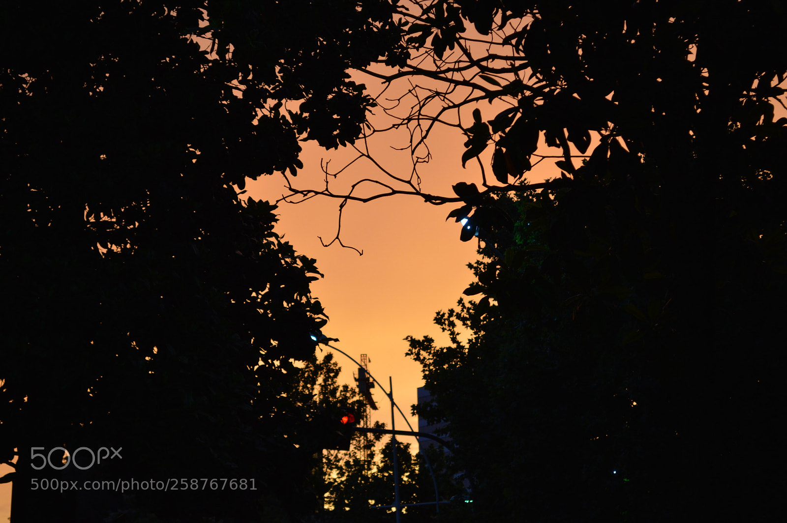 Nikon D3200 sample photo. Light photography