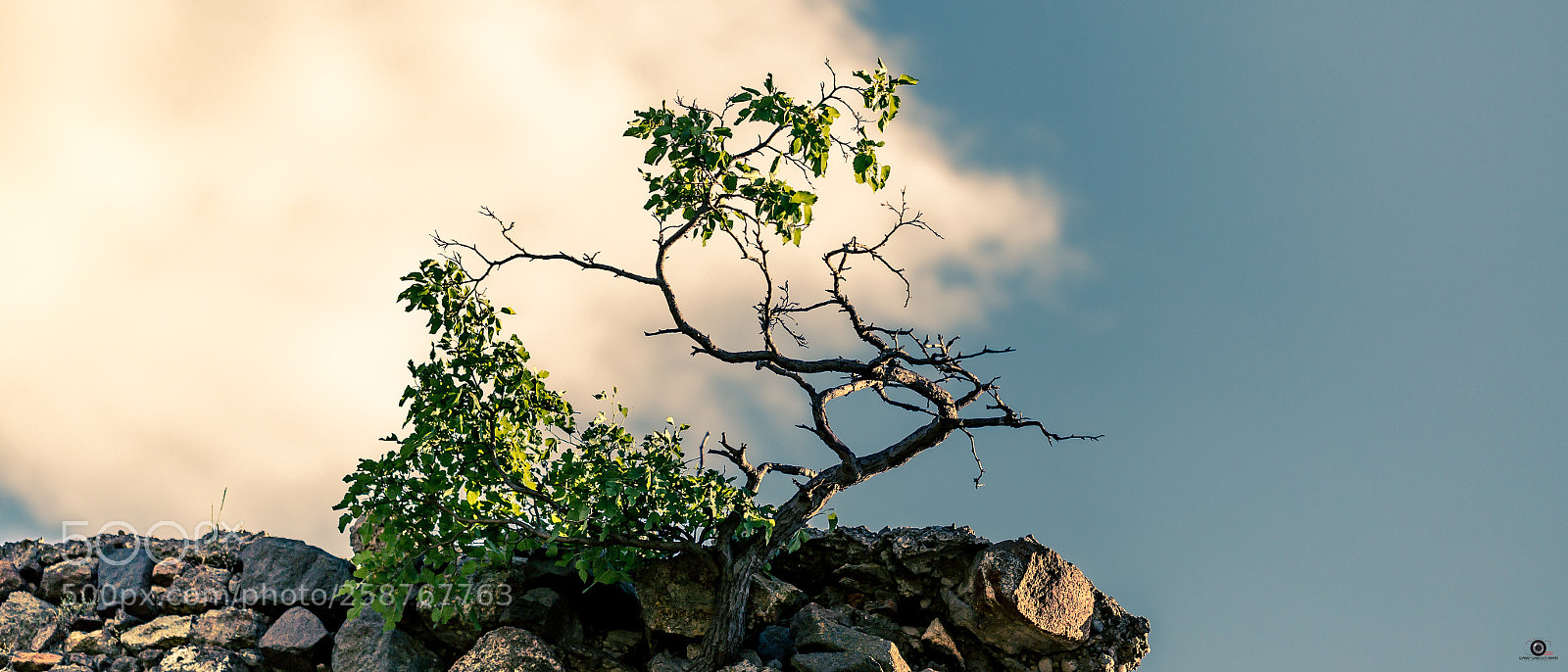 Canon EOS 6D sample photo. Untitled photography