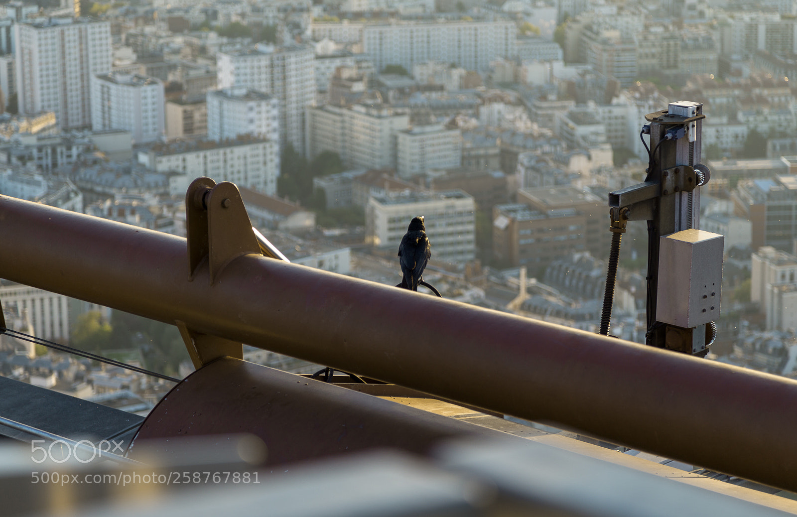 Canon EOS 6D sample photo. A birds view photography