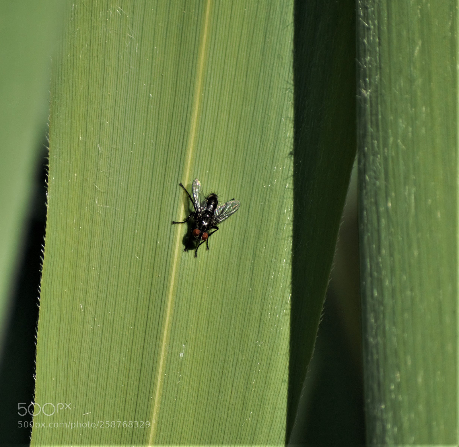 Nikon D3200 sample photo. Untitled photography