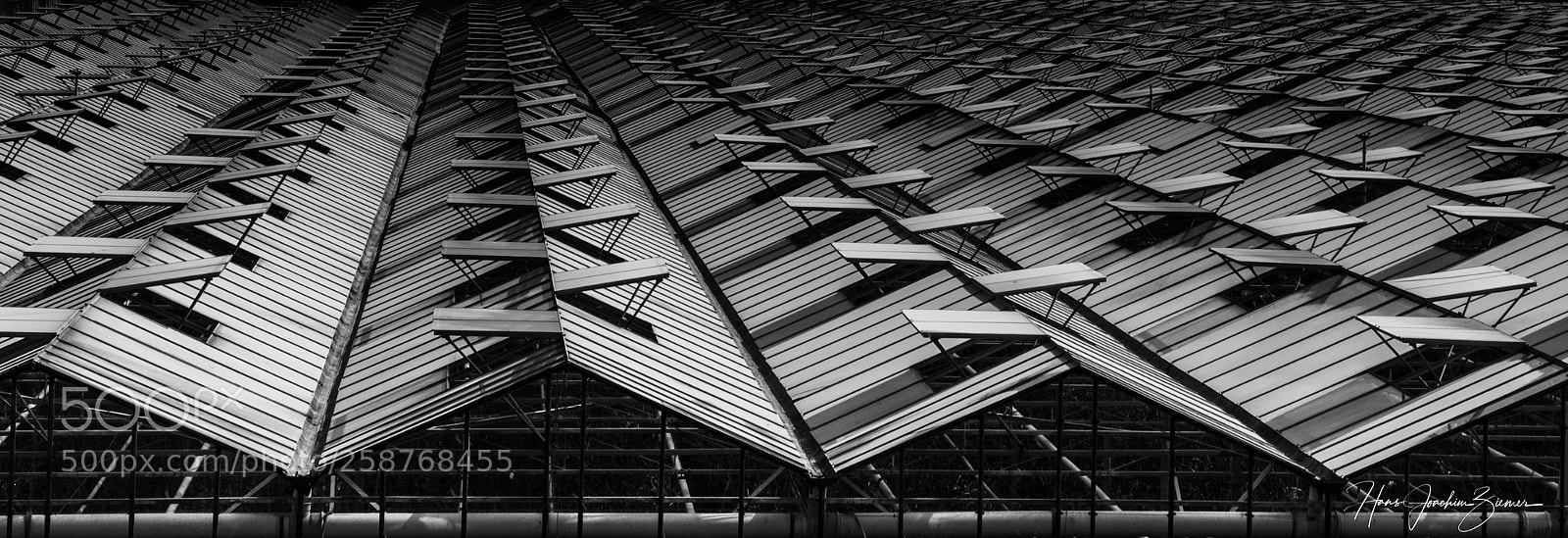 Nikon D500 sample photo. Rooflights photography