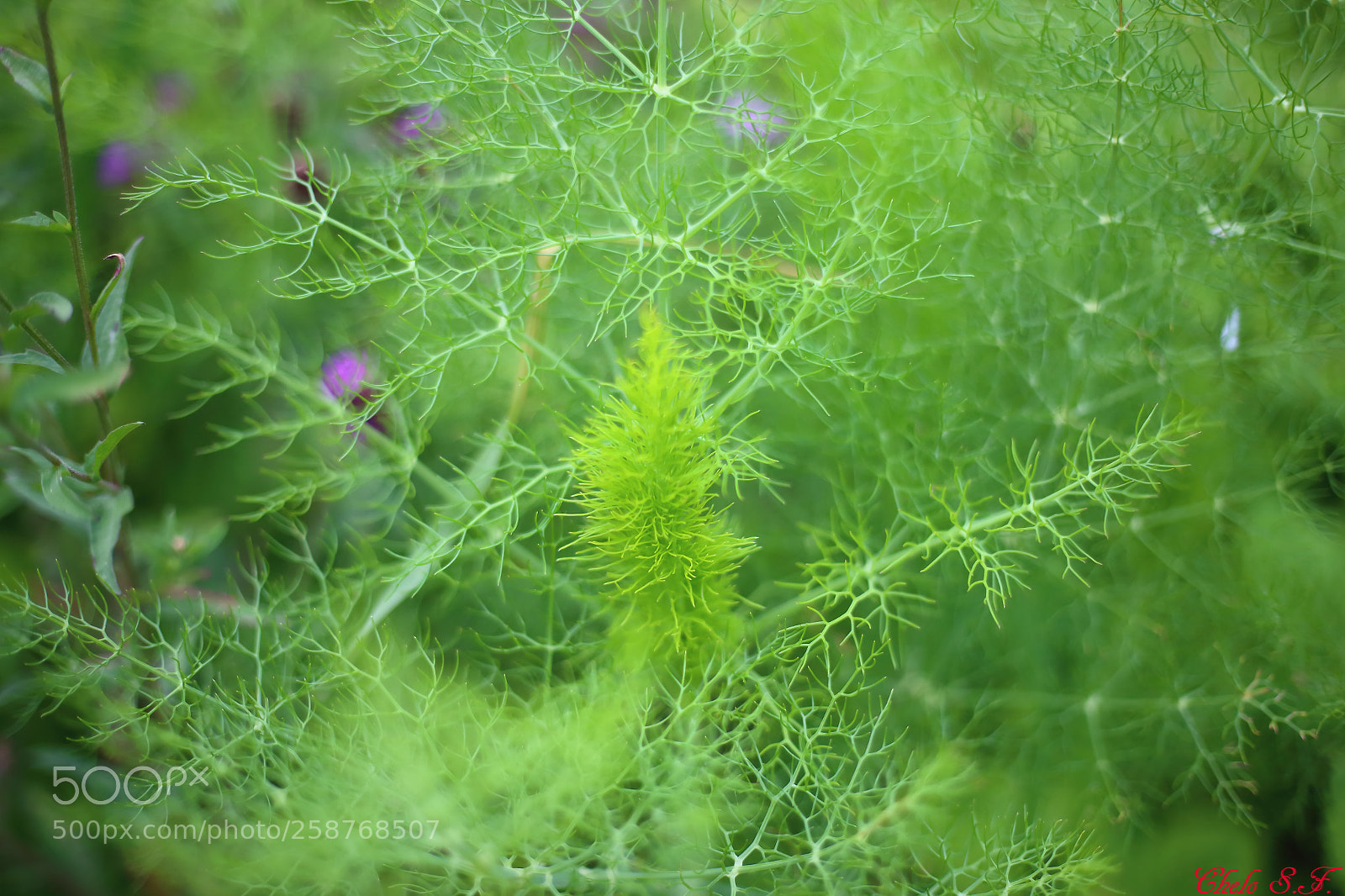 Canon EOS 6D sample photo. Untitled photography