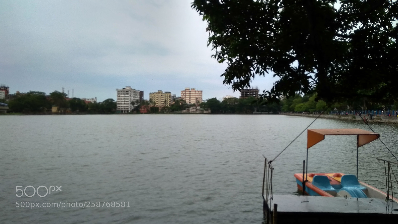 Xiaomi Redmi 4A sample photo. Untitled photography