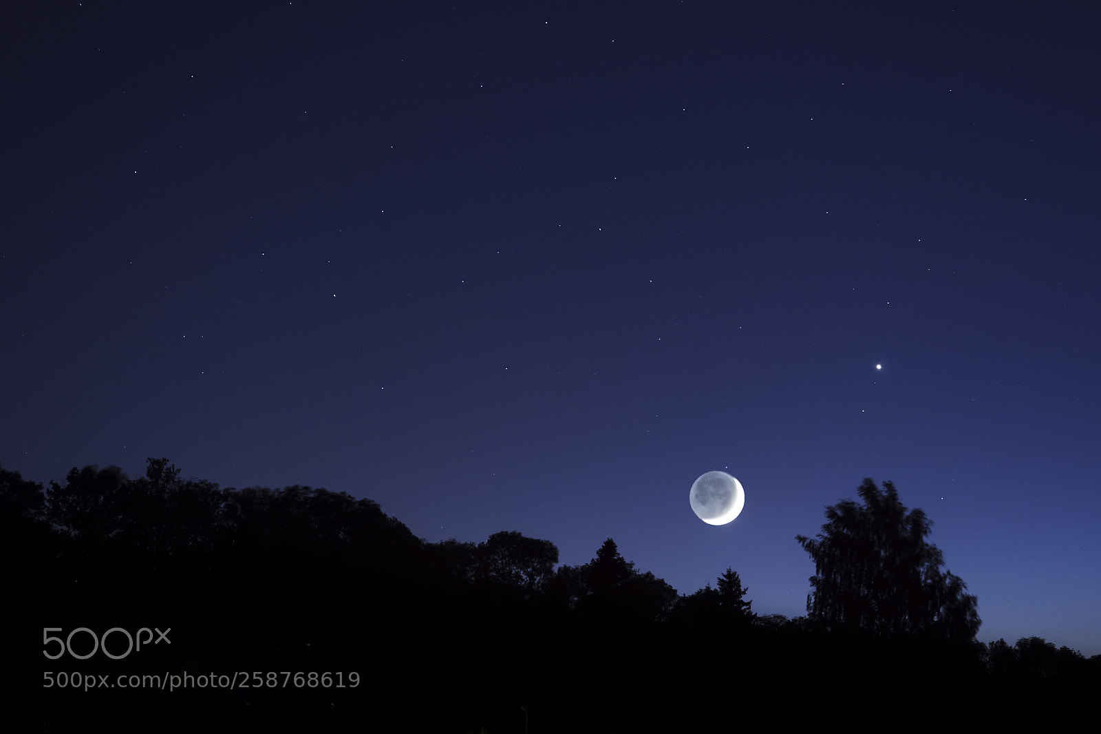 Panasonic Lumix DC-GH5 sample photo. Moonset above trees photography