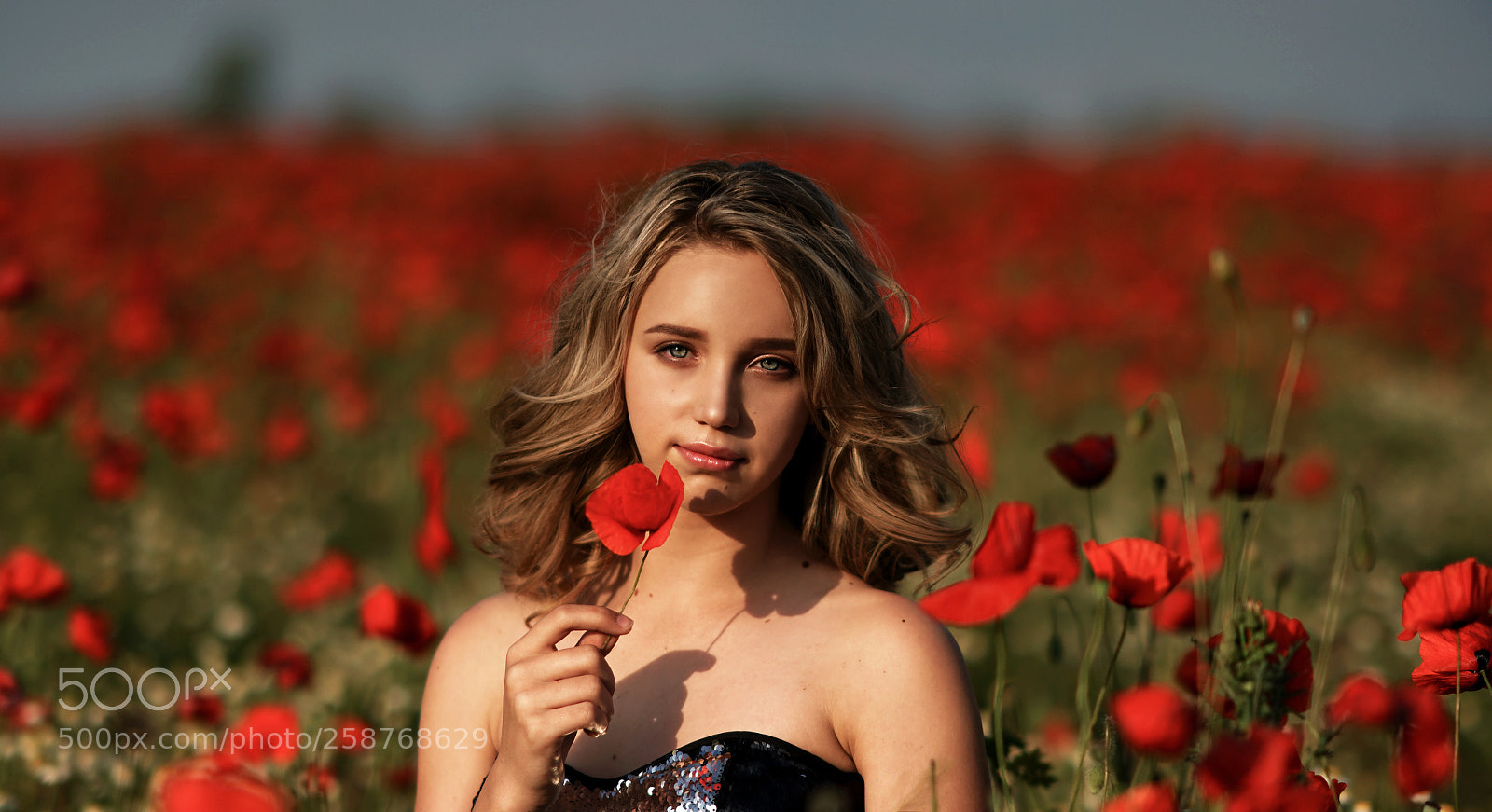 Sony a7R II sample photo. Untitled photography