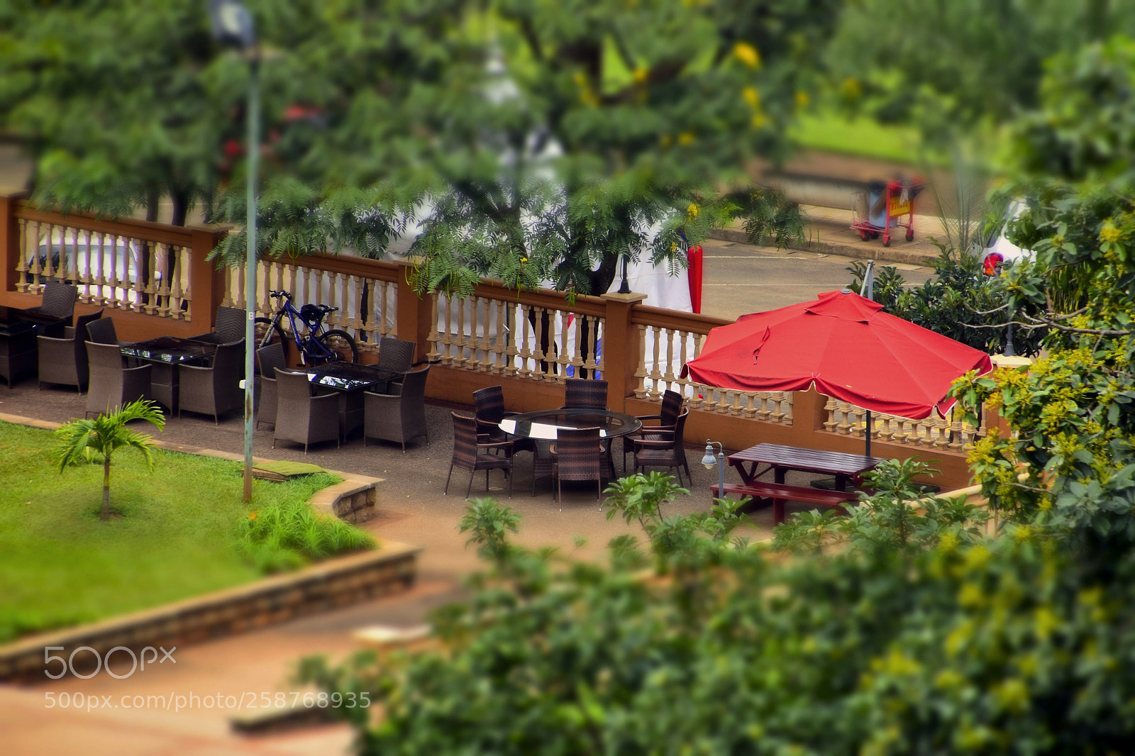 Nikon D5600 sample photo. Miniature photography