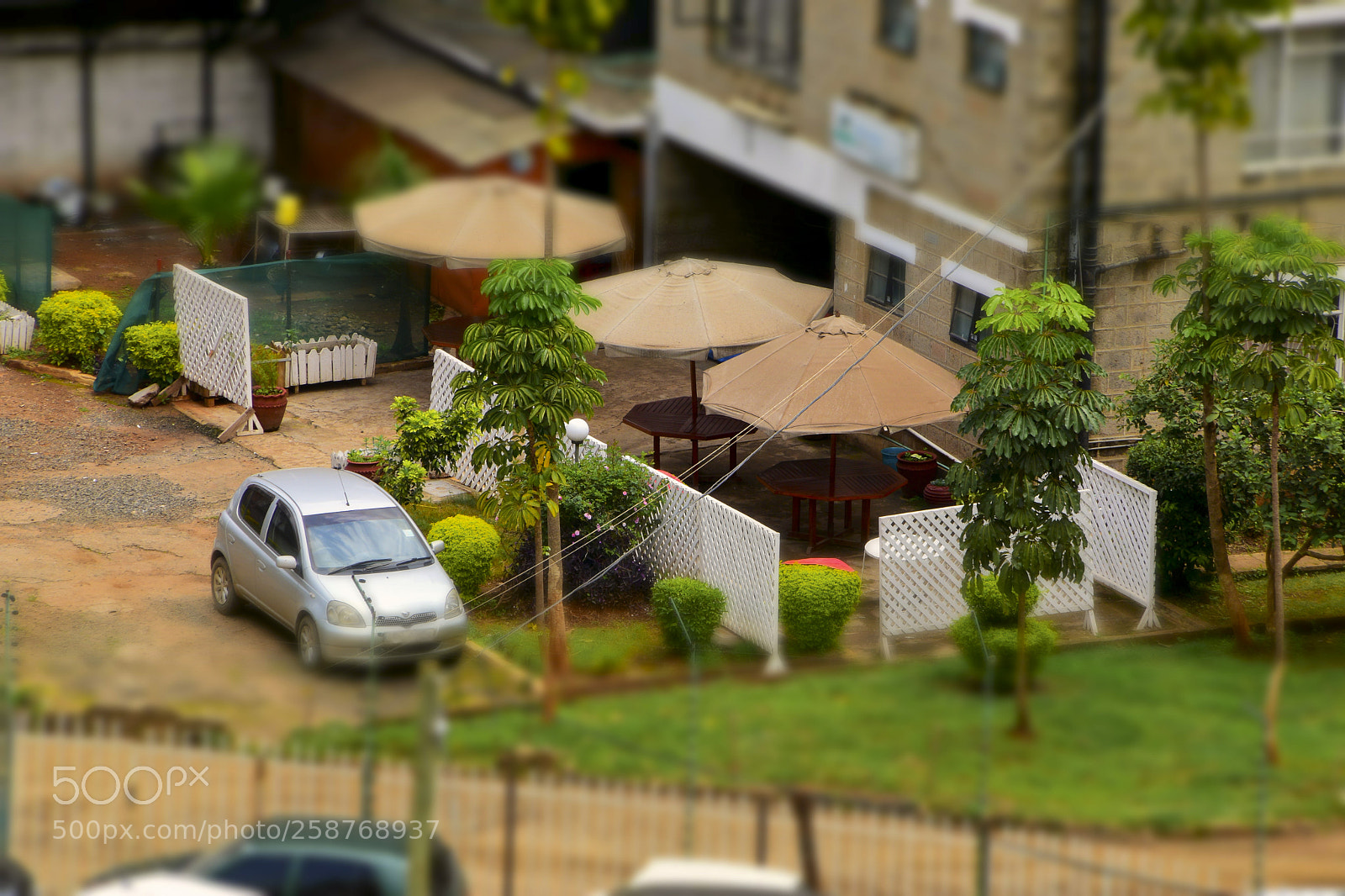 Nikon D5600 sample photo. Miniature photography