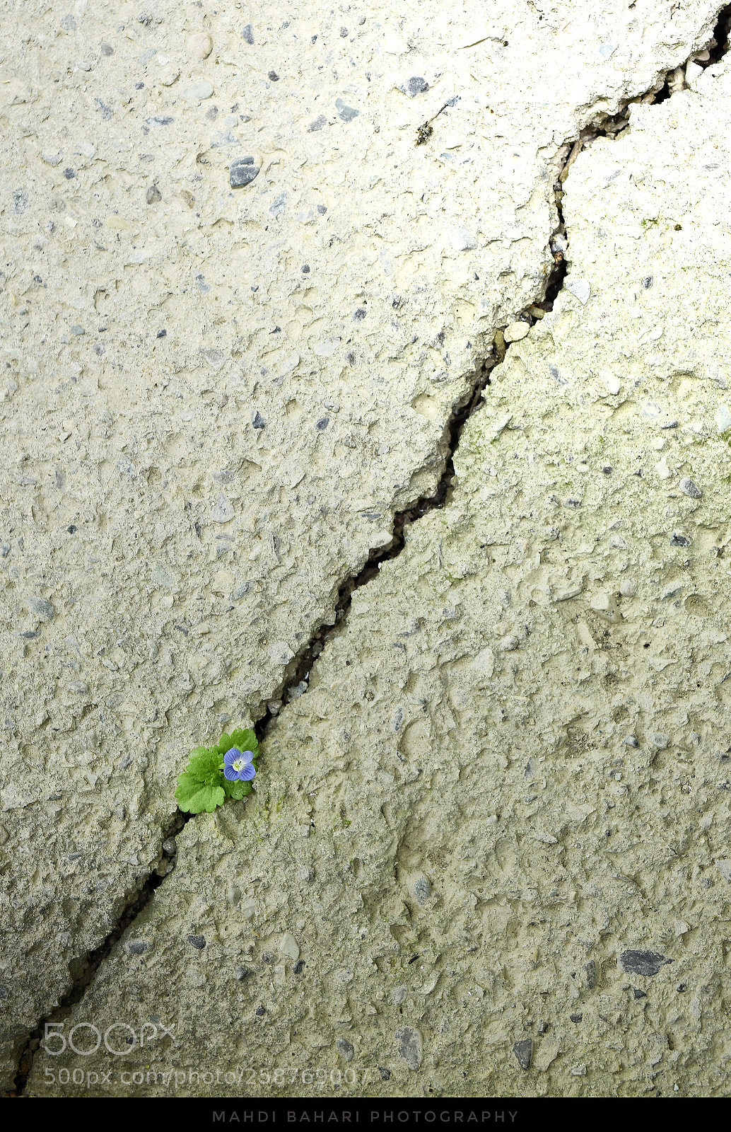 Nikon D5300 sample photo. Untitled photography