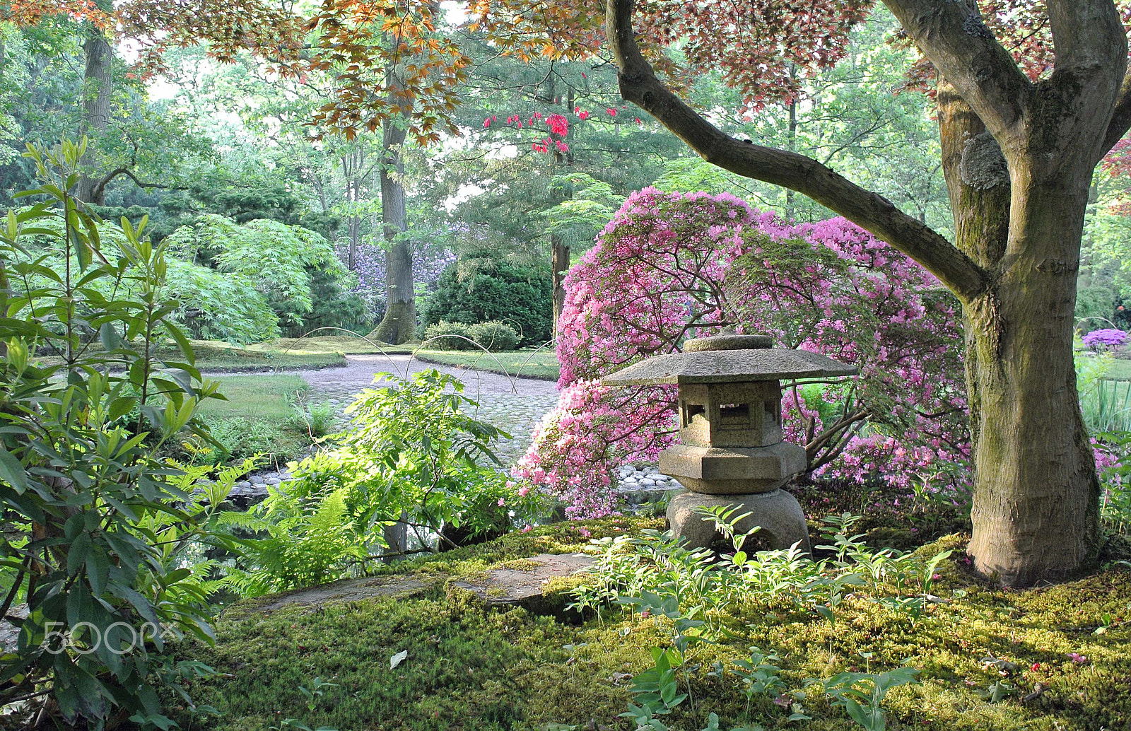 Nikon 1 J2 sample photo. Japanese garden photography