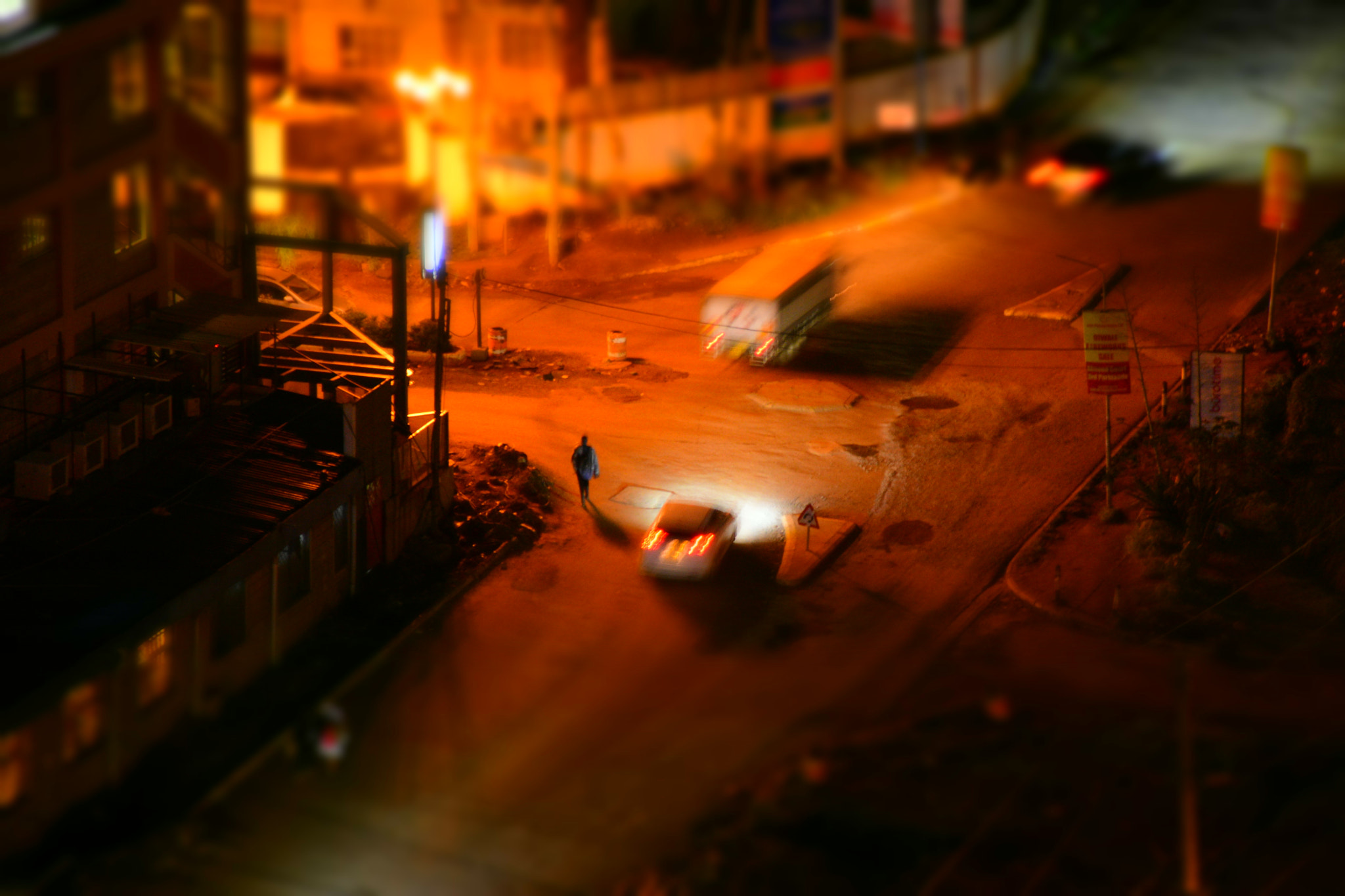Nikon D5600 sample photo. Miniature photography