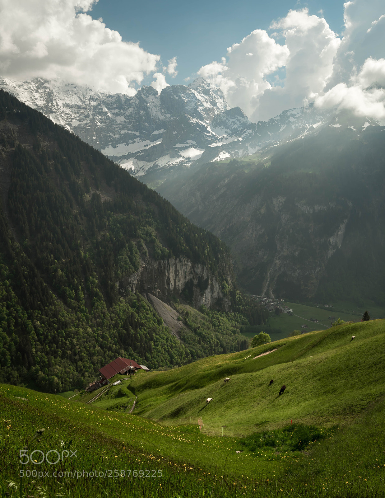 Sony a7R sample photo. Schächental photography