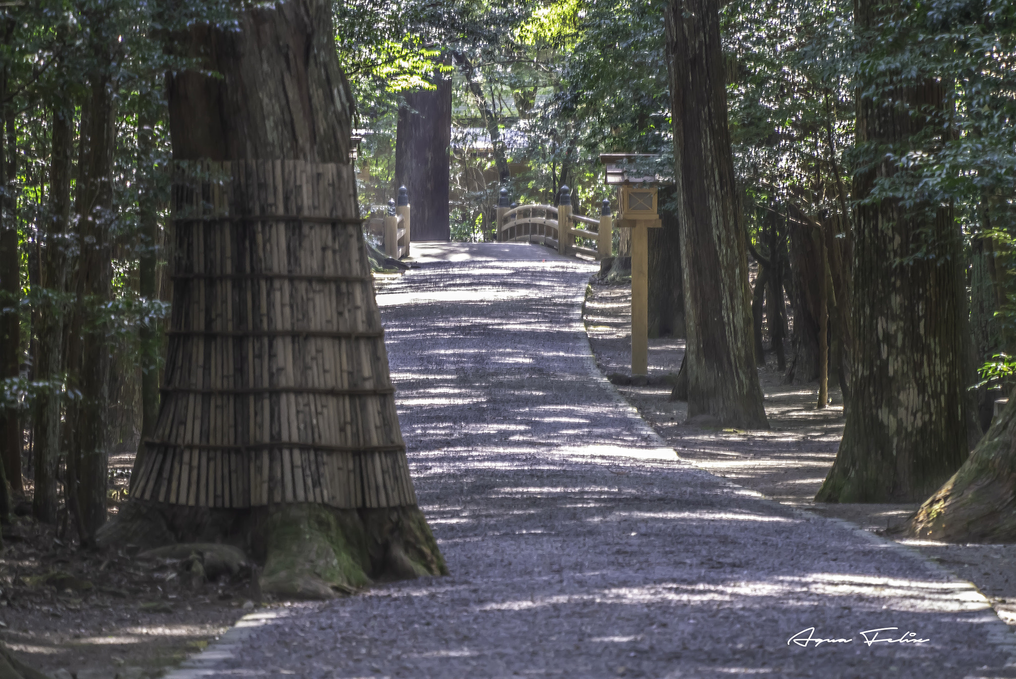 Panasonic Lumix DMC-GX1 sample photo. The approach to ise jingu takiharanomiya  photography