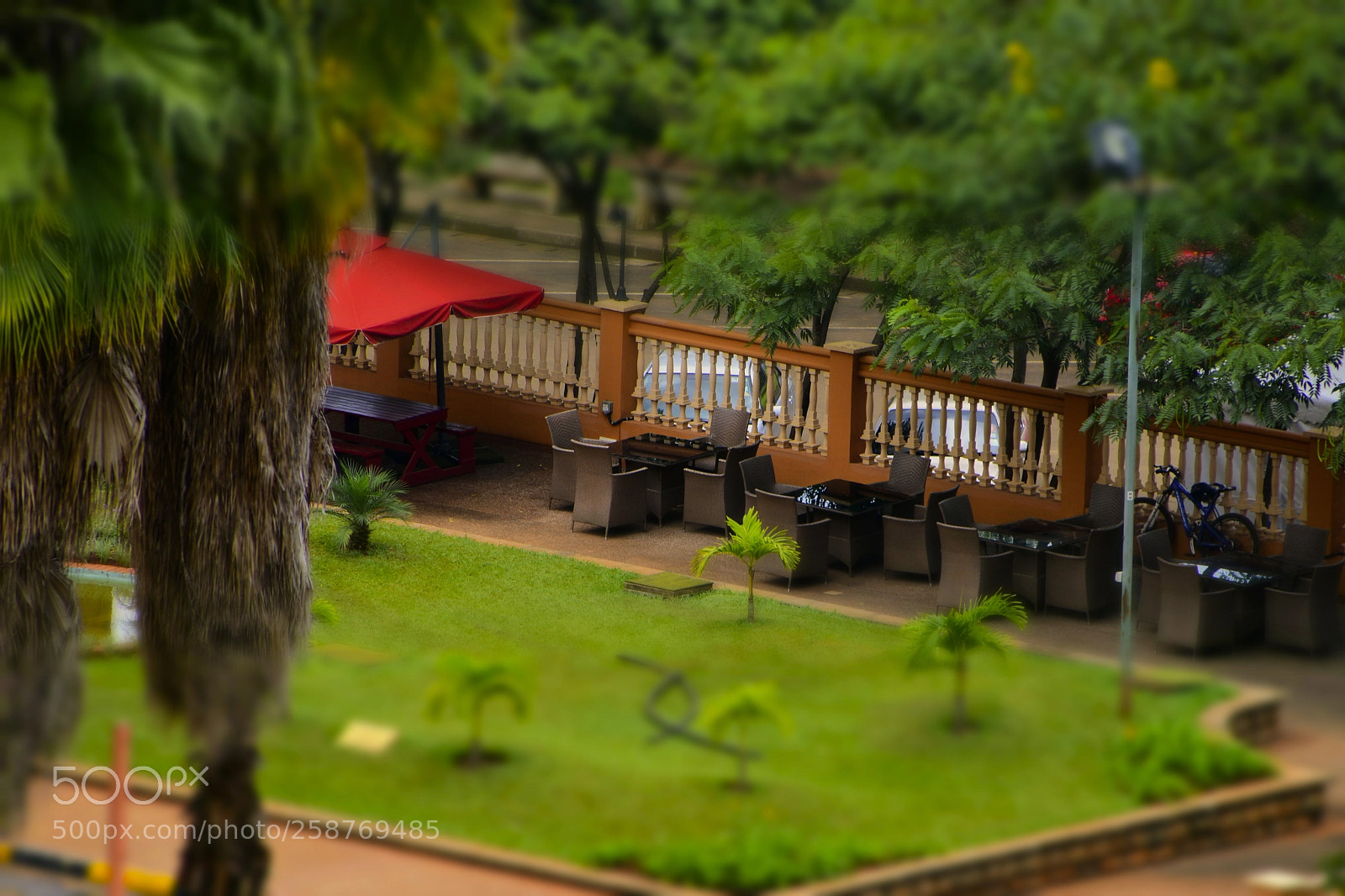 Nikon D5600 sample photo. Miniature photography