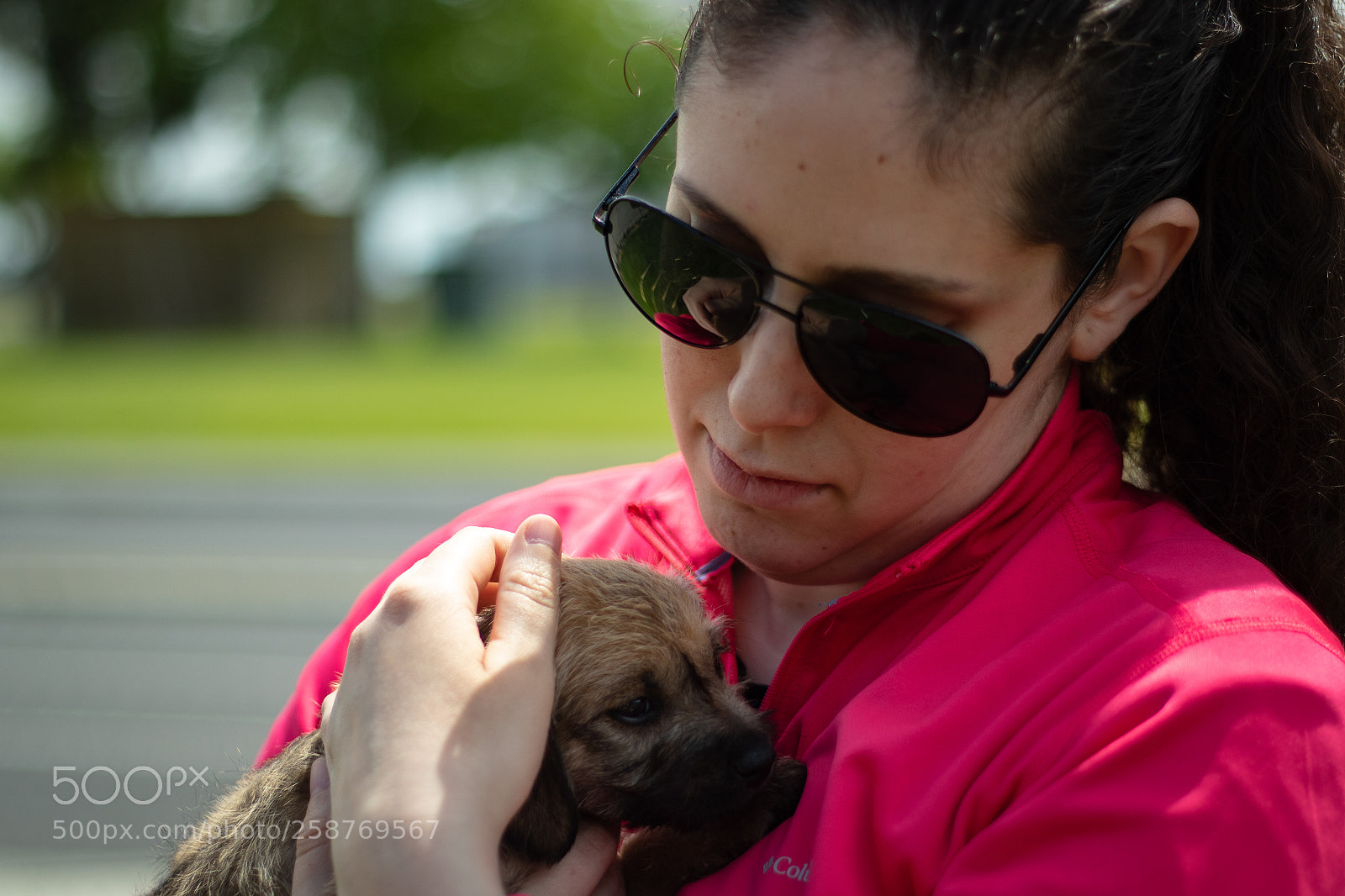Canon EOS 7D Mark II sample photo. Puppy cuddles photography