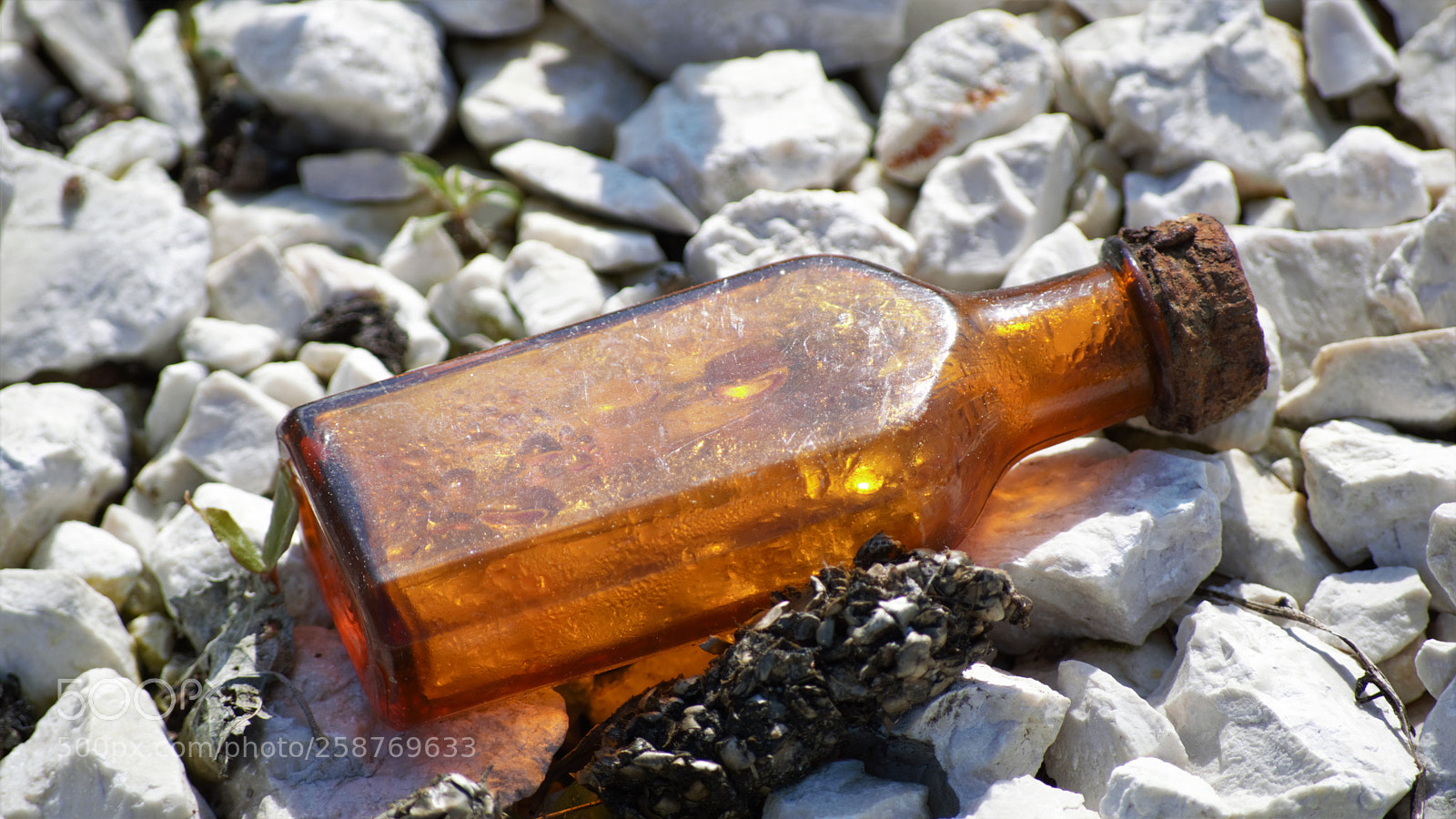 Nikon D3200 sample photo. Untitled photography