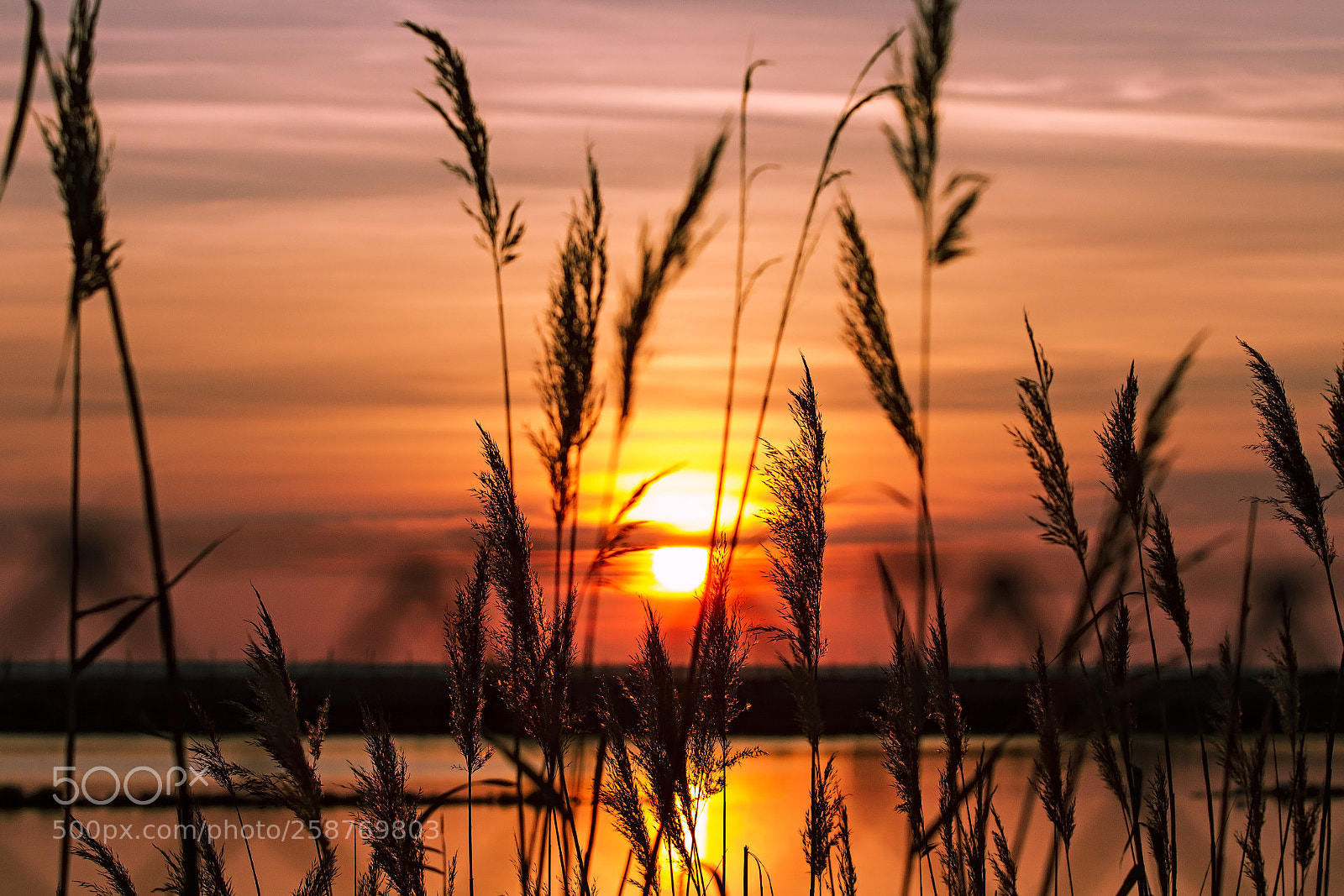 Canon EOS 7D sample photo. Sunset near the sea photography