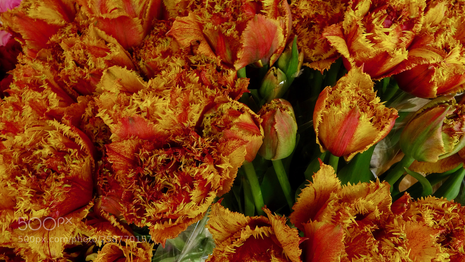 Sony DSC-HX60 sample photo. Sttutgarter markthalle photography