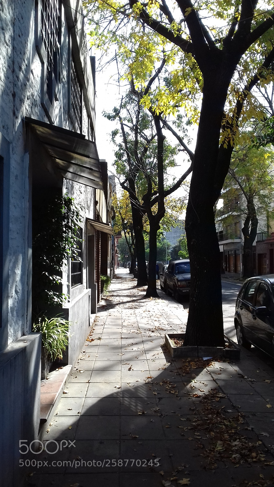 Samsung Galaxy J3(2016) sample photo. Otoño photography