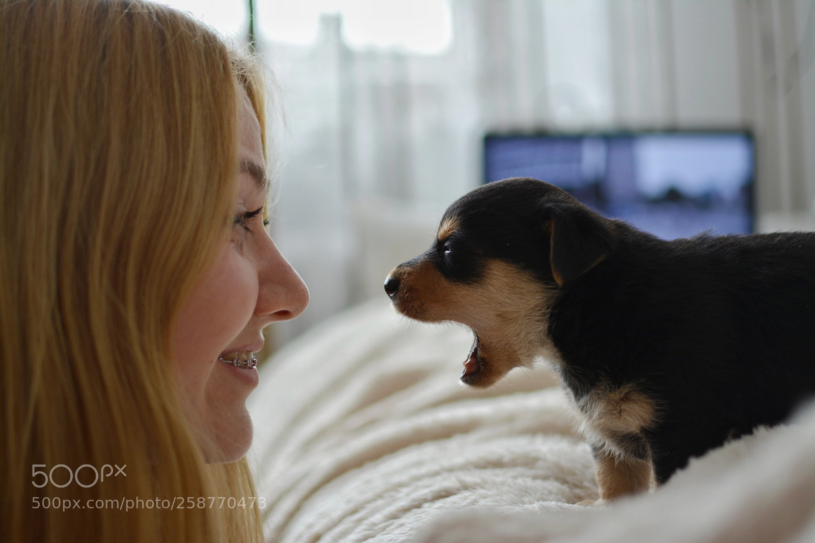Nikon D5200 sample photo. The beast photography