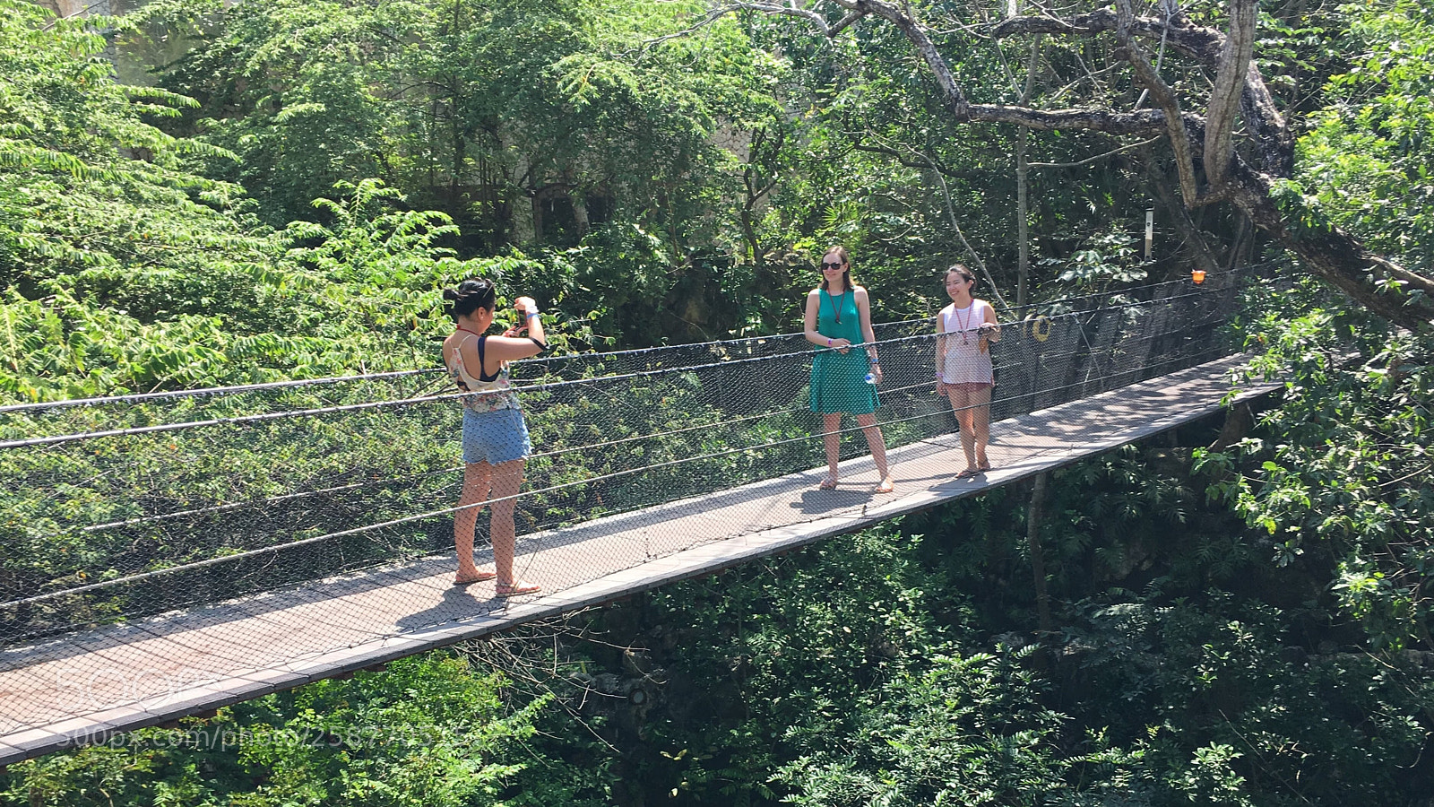 Apple iPhone 6s sample photo. The jungle catwalk photography
